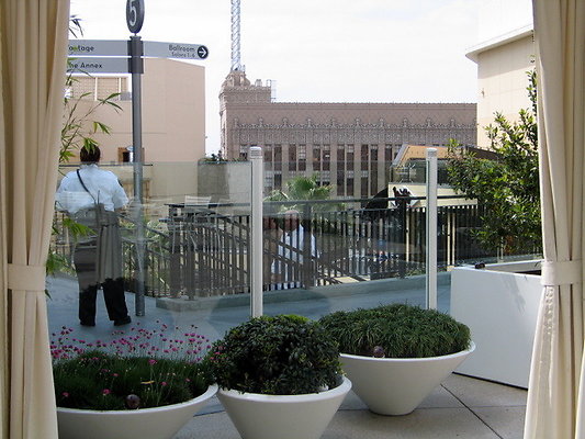 IMG 5309