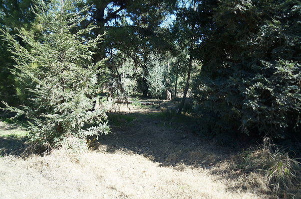 GOR.Pine.Lake.69