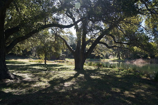 GOR.Old.Lake.104