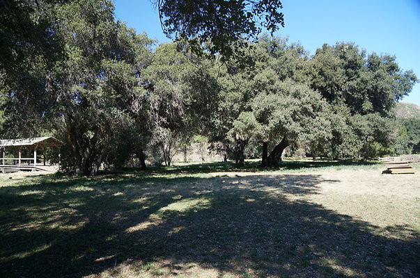 GOR.Old.Lake.101
