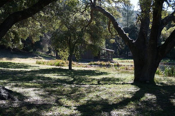 GOR.Old.Lake.105