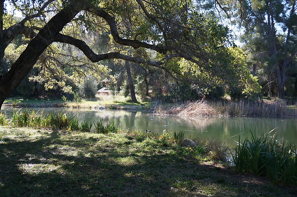 GOR.Old.Lake.106