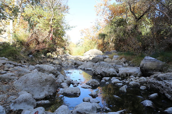 2-Malibu Creek State Park-6D-Nov2017-185