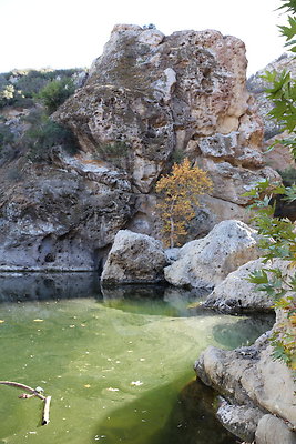 2-Malibu Creek State Park-6D-Nov2017-173