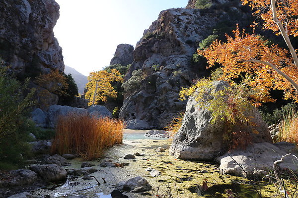 2-Malibu Creek State Park-6D-Nov2017-184