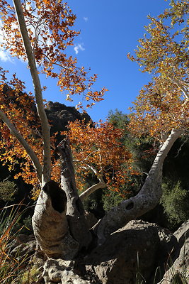 Malibu Creek State Park-6D-Nov2017-183