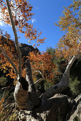 Malibu Creek State Park-6D-Nov2017-183