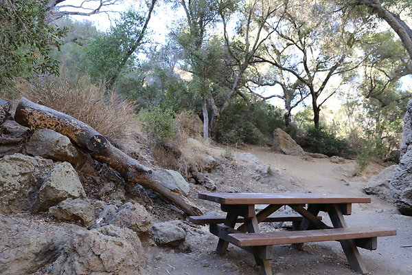 Malibu Creek State Park-6D-Nov2017-166