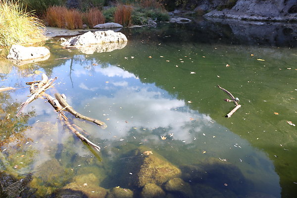 2-Malibu Creek State Park-6D-Nov2017-170