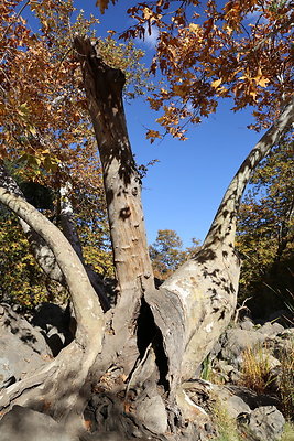 Malibu Creek State Park-6D-Nov2017-181