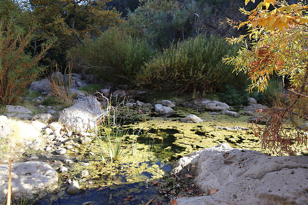 2-Malibu Creek State Park-6D-Nov2017-182