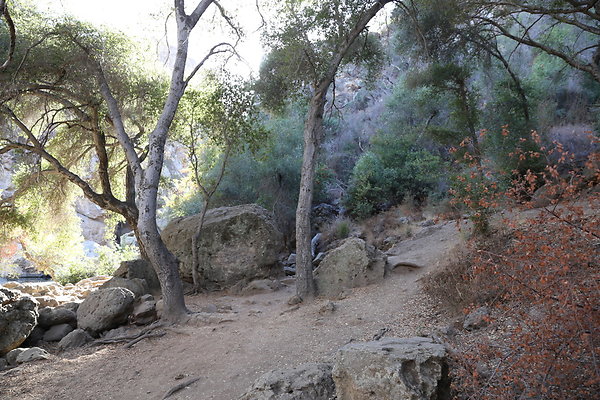 Malibu Creek State Park-6D-Nov2017-164