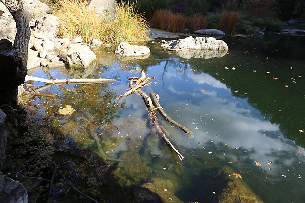 2-Malibu Creek State Park-6D-Nov2017-169