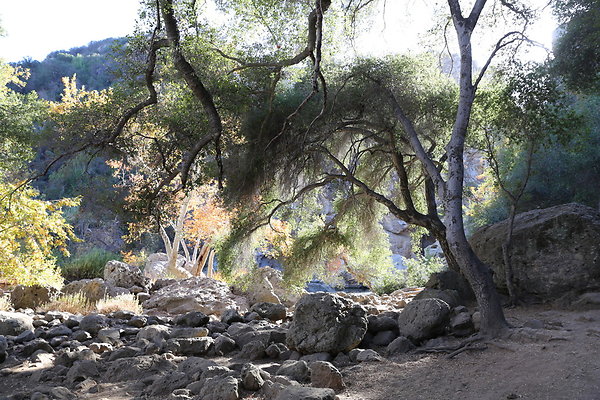 Malibu Creek State Park-6D-Nov2017-163