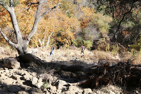 Malibu Creek State Park-6D-Nov2017-162