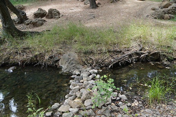 Canyon.Ranch.Foot.Bridges.29