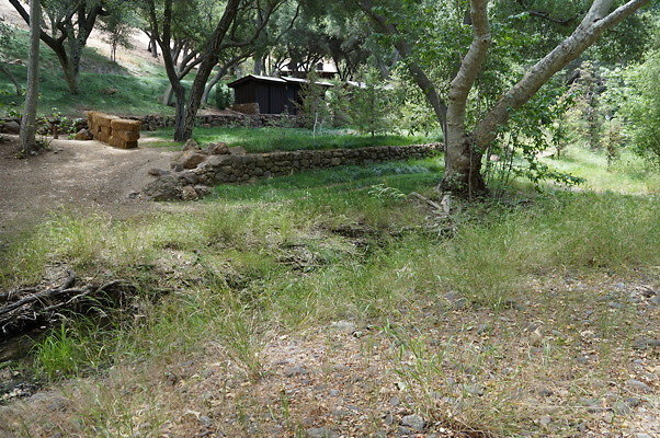 Canyon.Ranch.Foot.Bridges.33