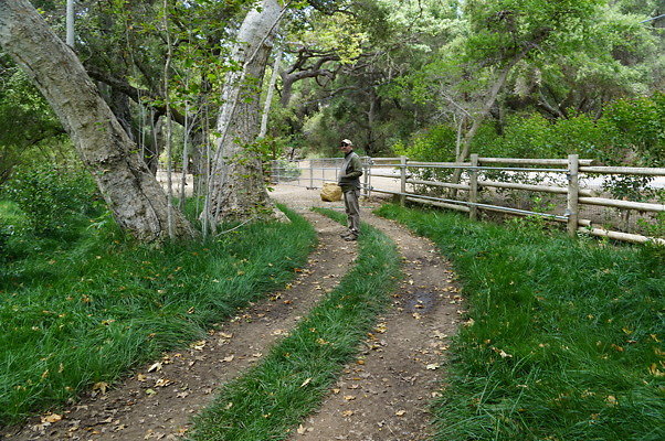 Canyon.Ranch.Foot.Bridges.47