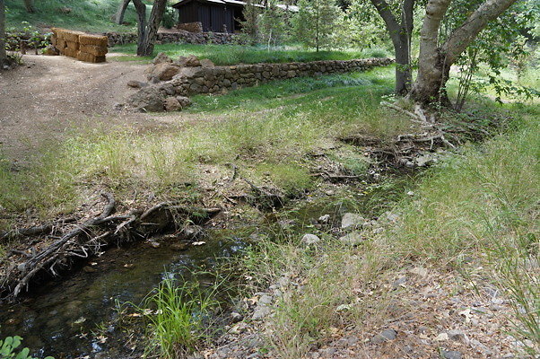 Canyon.Ranch.Foot.Bridges.30