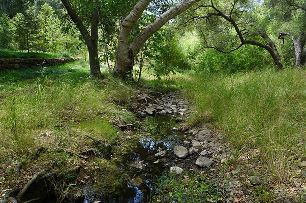 Canyon.Ranch.Foot.Bridges.26