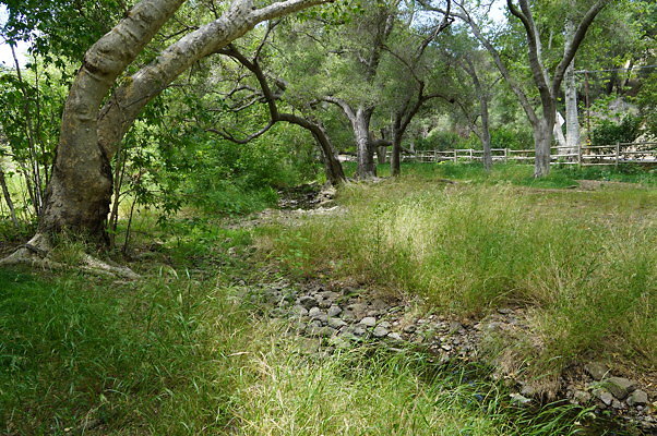 Canyon.Ranch.Foot.Bridges.22