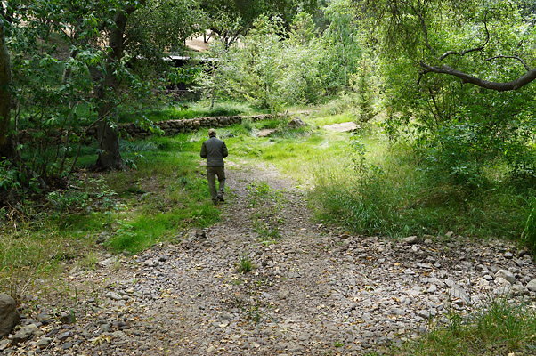 Canyon.Ranch.Foot.Bridges.14