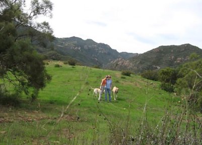 Canyon.Ranch.Trees.Grass.Forest17