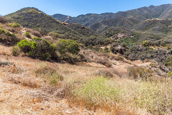 Canyon.Ranch.TO.100