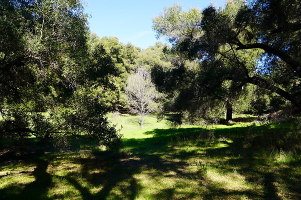 Tapia.Park.2.2019.45