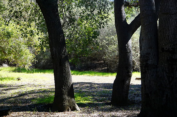 Tapia.Park.2.2019.61