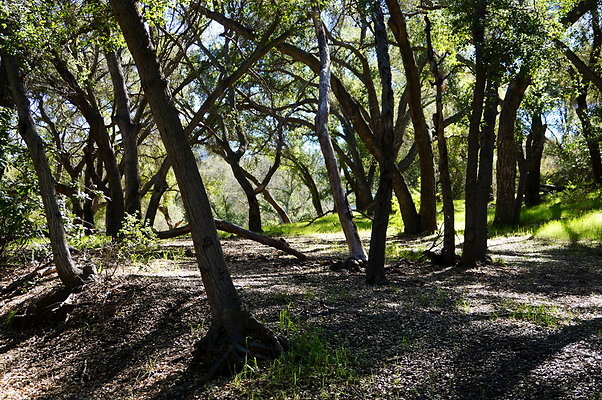 Tapia.Park.2.2019.20