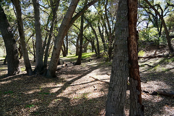 Tapia.Park.2.2019.79