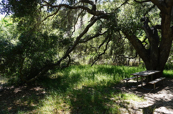 Lake Road.Camp.2.04