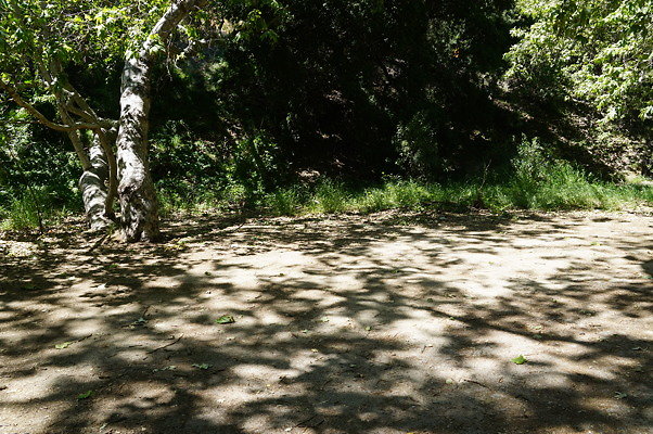 Lake Road.Camp.1.03