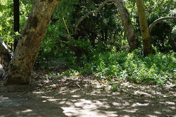 Lake Road.Camp.1.10