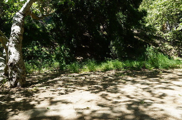 Lake Road.Camp.1.04