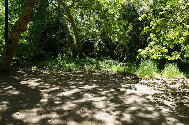 Lake Road.Camp.1.08