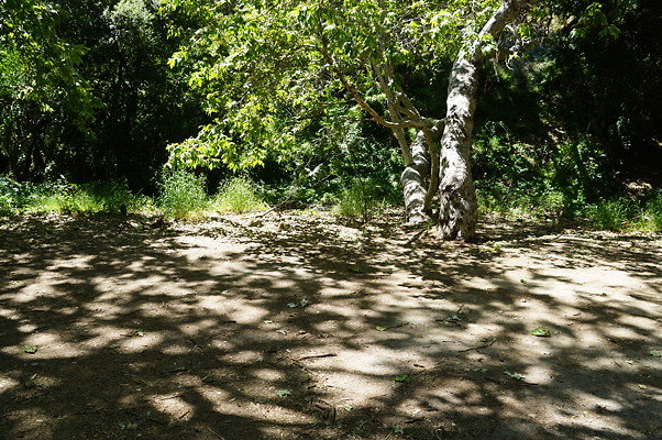 Lake Road.Camp.1.02