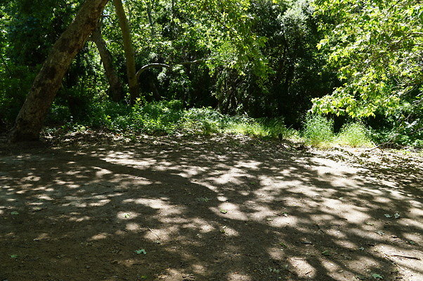 Camp Site 1 Lake Road