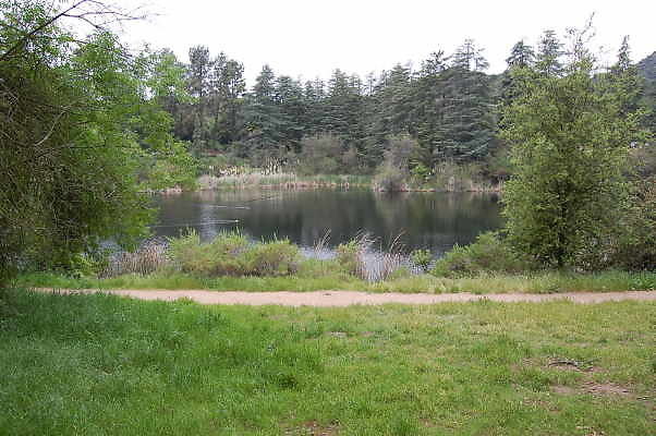 DSC 0046