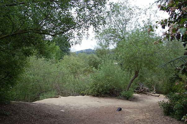 DSC 0066