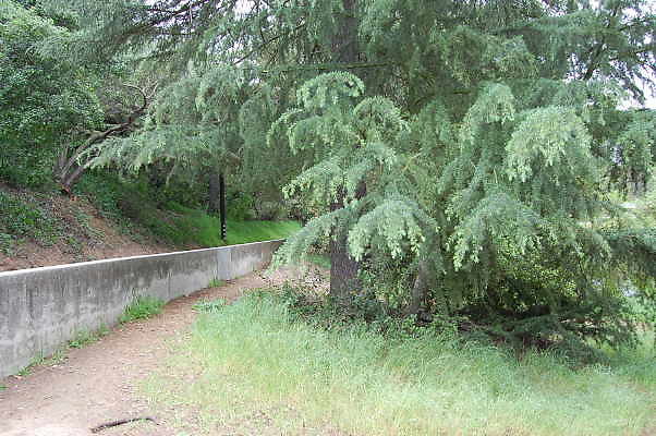 DSC 0040