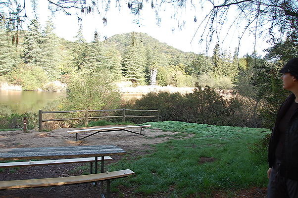 DSC 0002