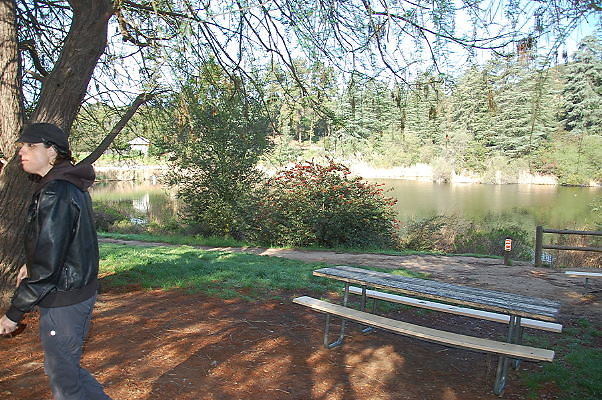 DSC 0006