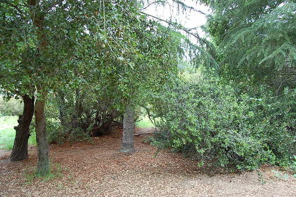 DSC 0045
