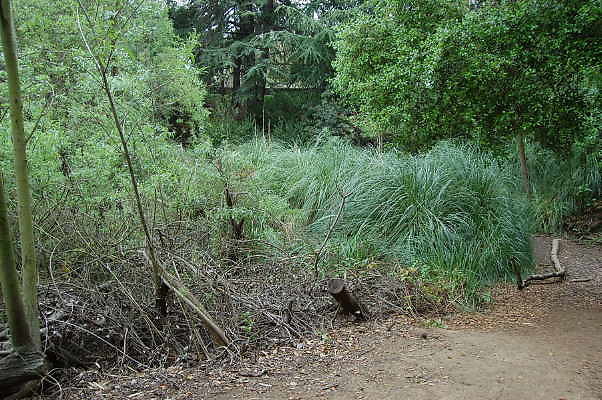 DSC 0059