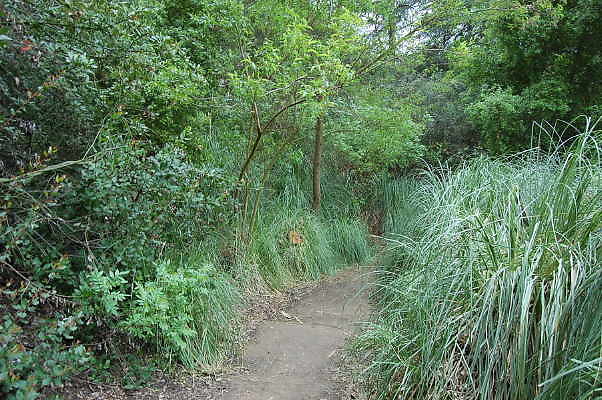 DSC 0063