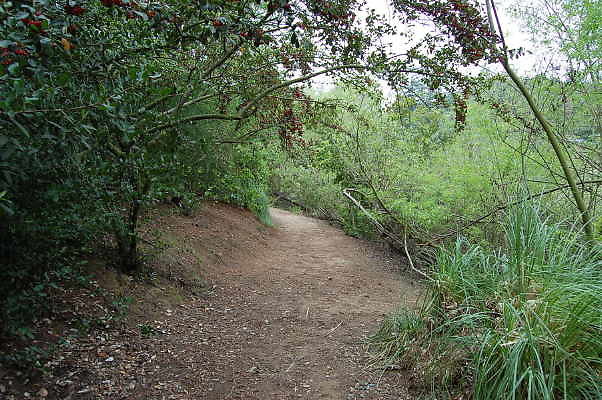 DSC 0060