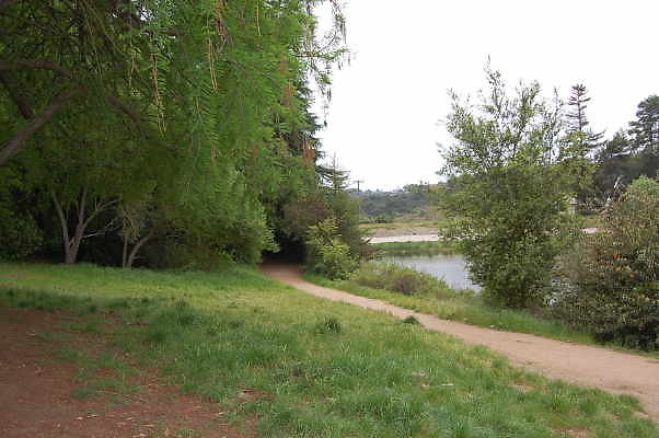 DSC 0049