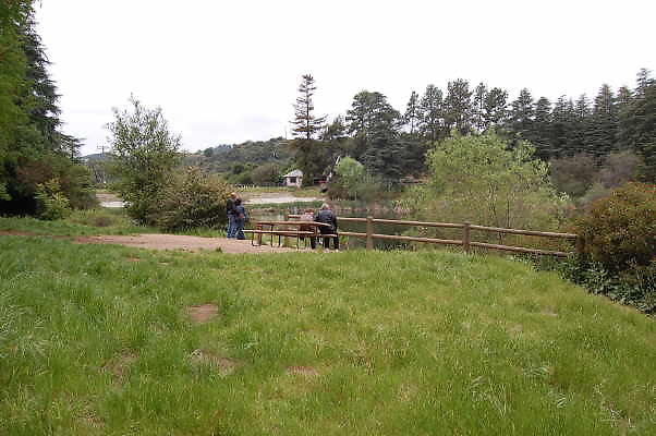 DSC 0054